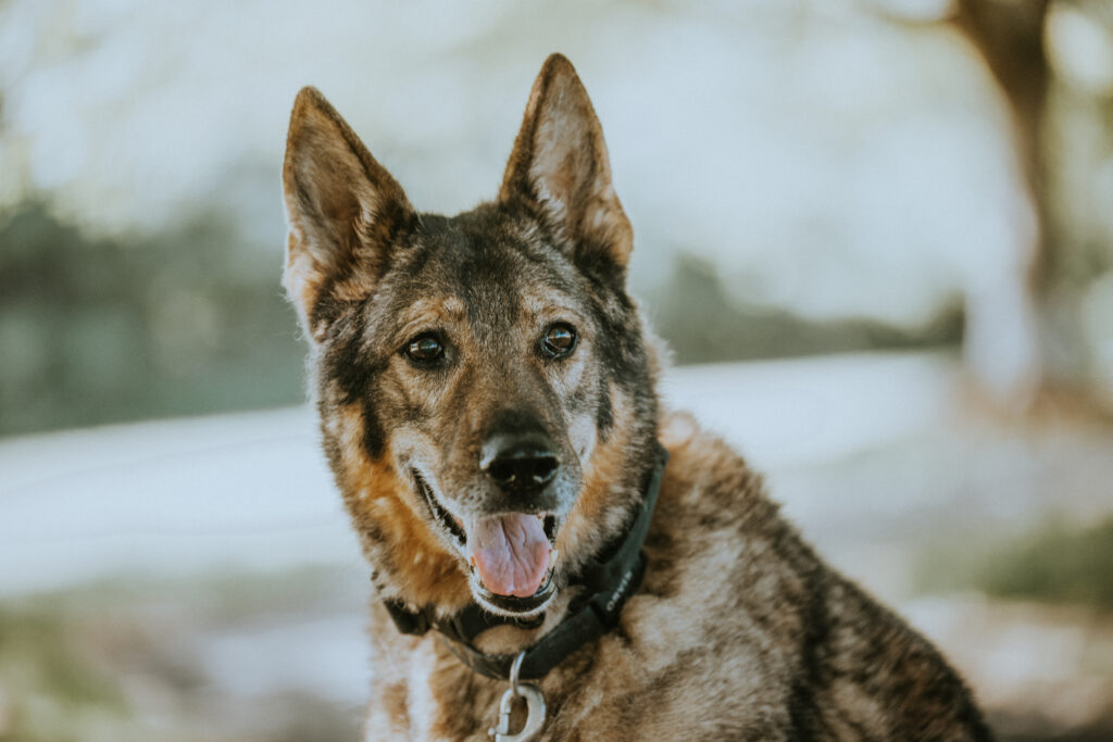 _DSC8032